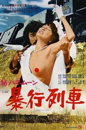 Chuyến Tàu Hãm Hiếp - Secret Honeymoon: Rape Train (1977)