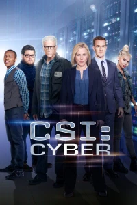 Đội Điều Tra Tội Phạm Trên Mạng (Phần 1) - CSI: Cyber (Season 1) (2015)