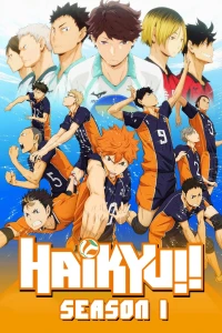 Vua Bóng Chuyền Haikyuu (Phần 1) - Haikyu!! (Season 1) (2014)